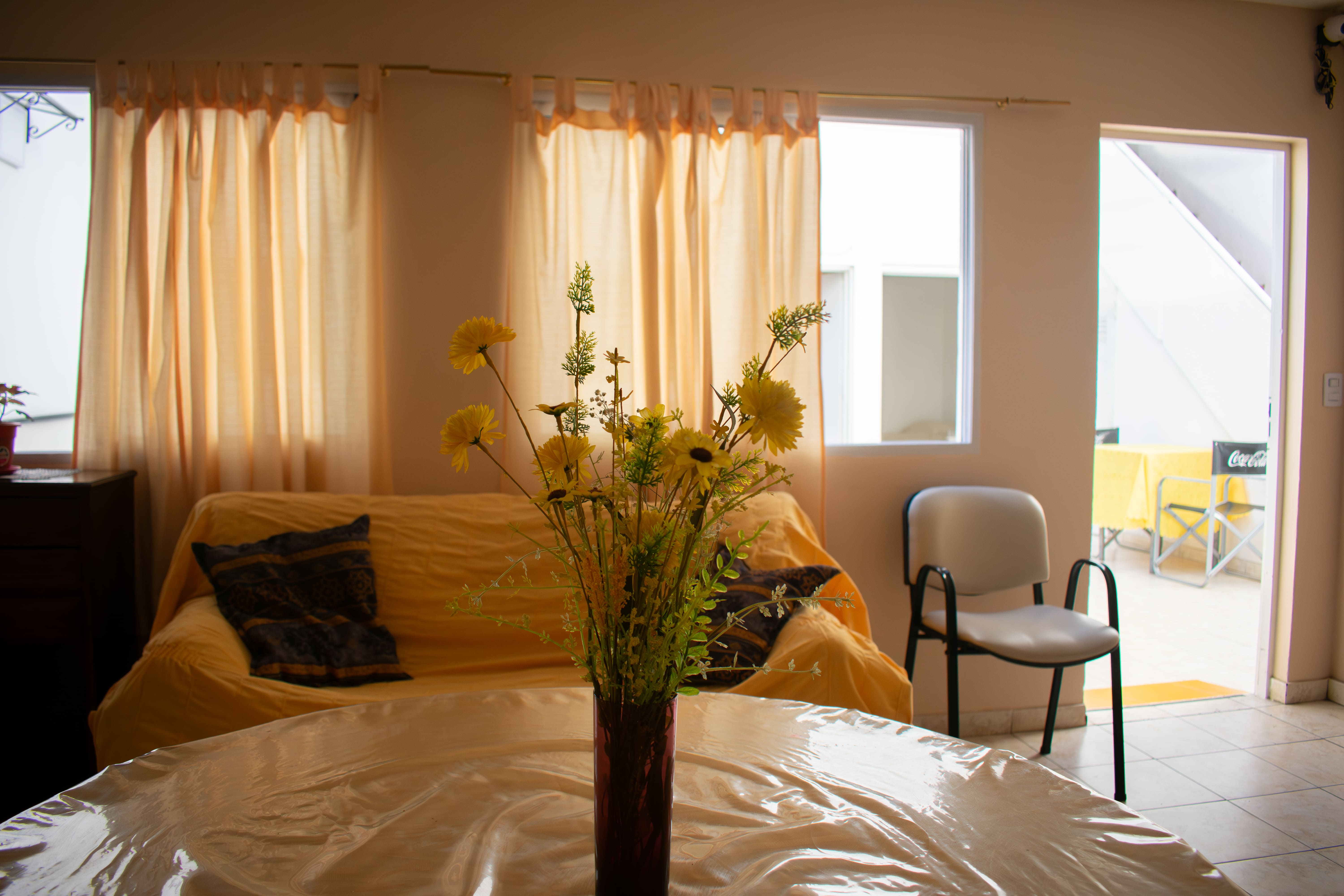 En Casa II - Imagen 4