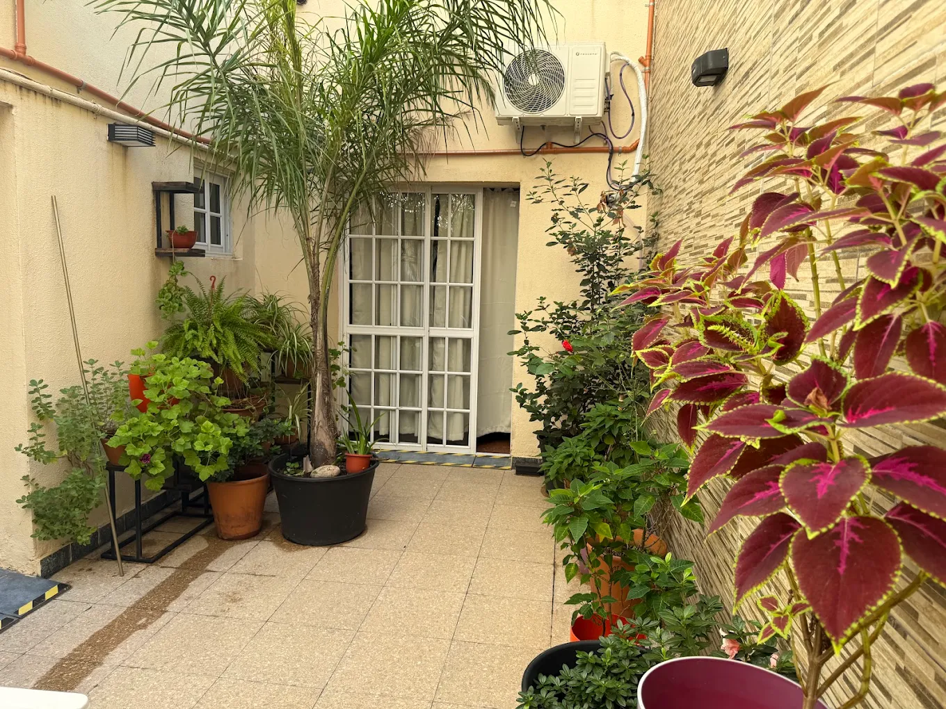 San Demetrio - Imagen 13