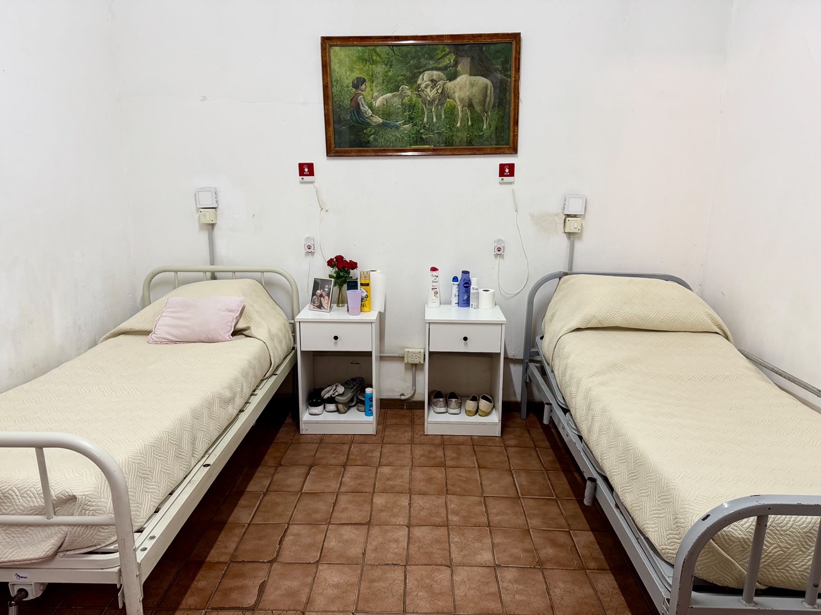 Las Cinco Palmeras - Imagen 4