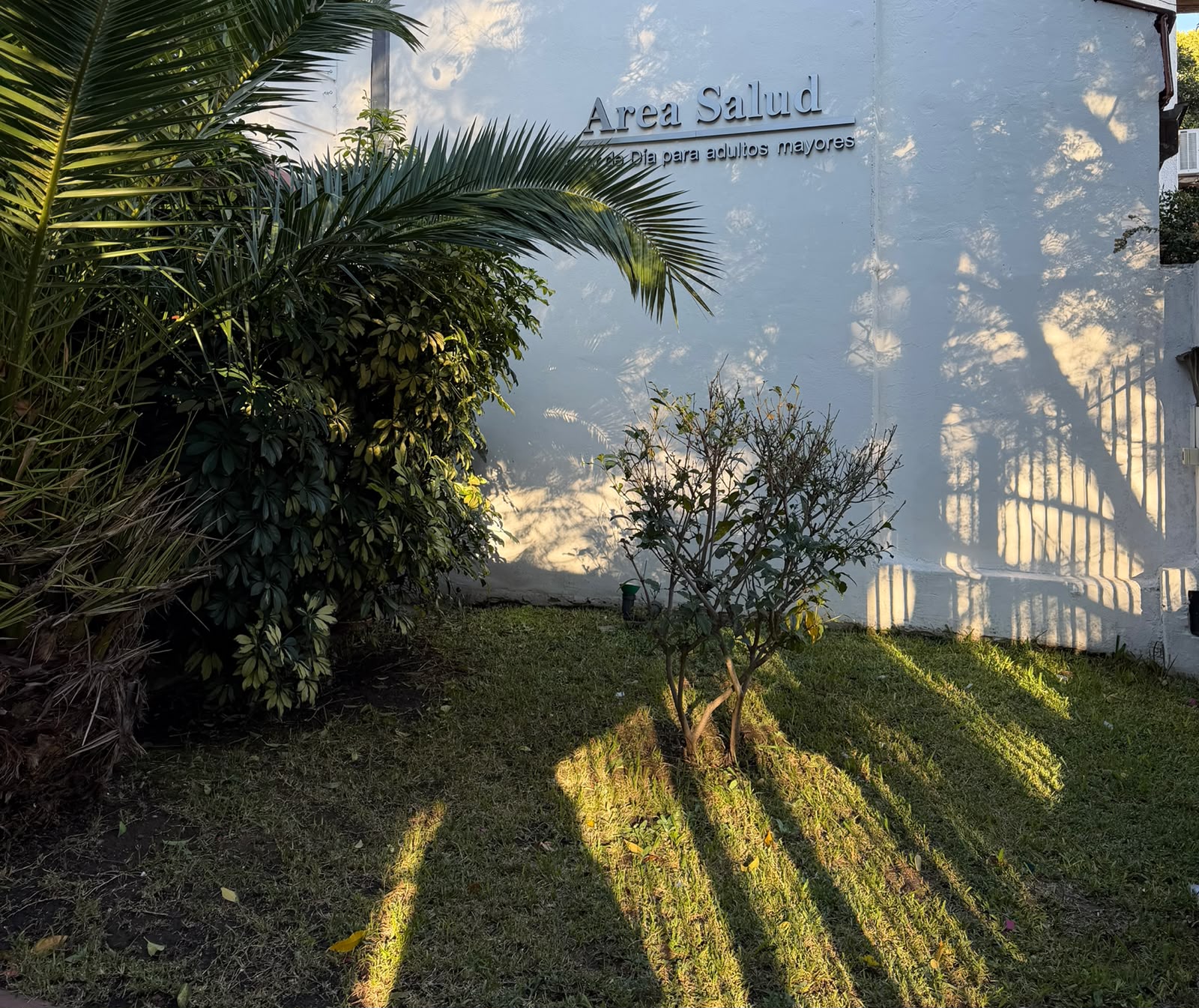 Área Salud Centro de día para adultos mayores - Imagen 4