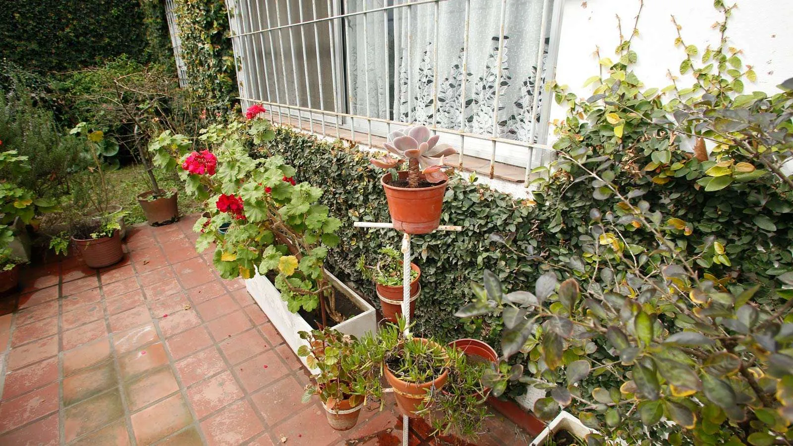 Arco Iris Bienestar  - Imagen 8