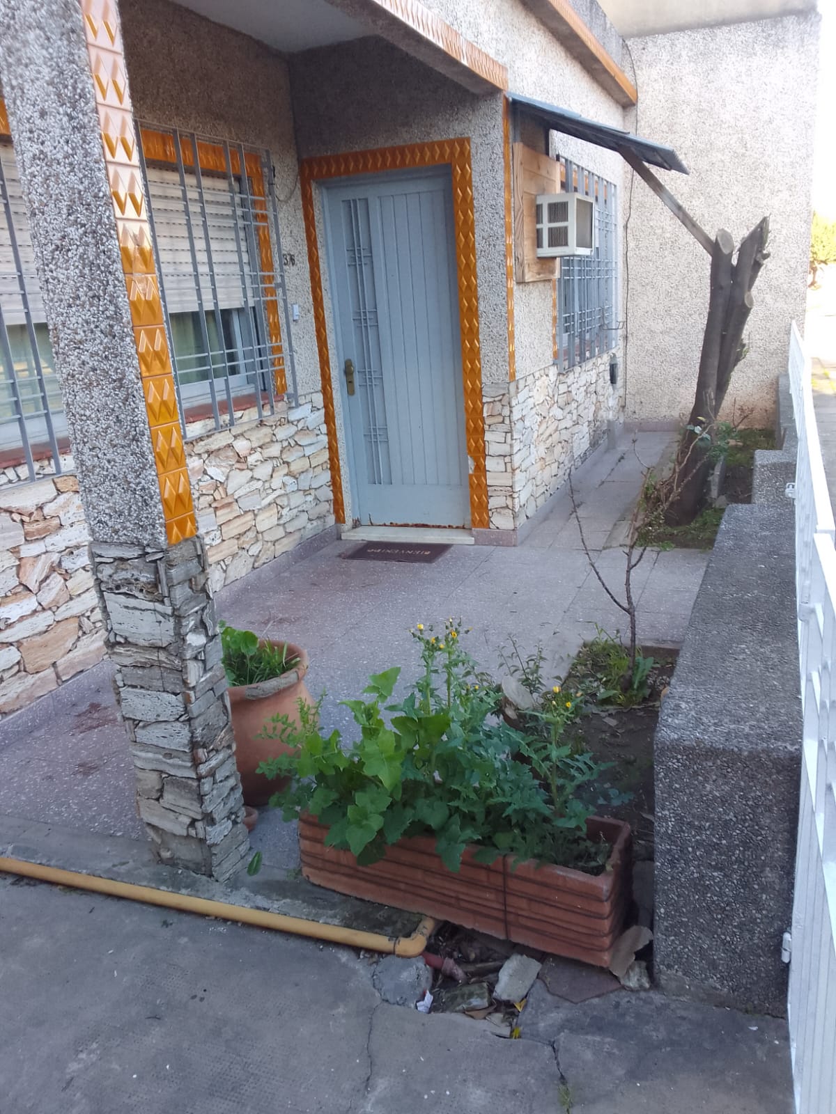 Los Abuelos - Imagen 2