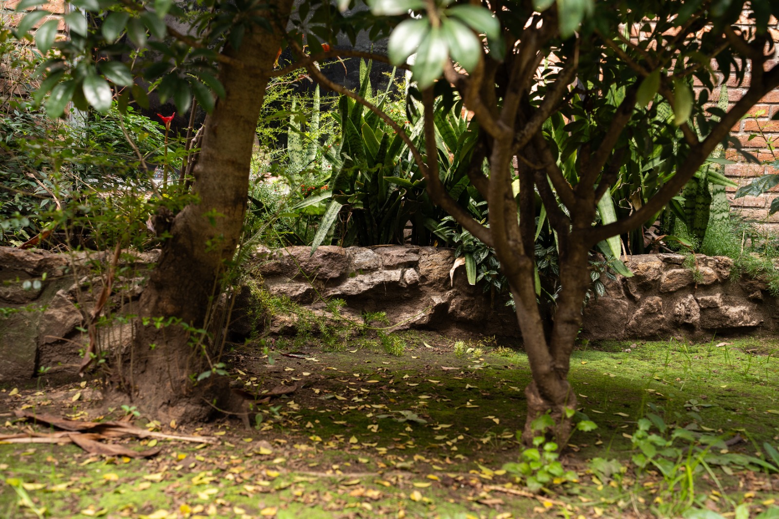Hogar Universal - Imagen 8