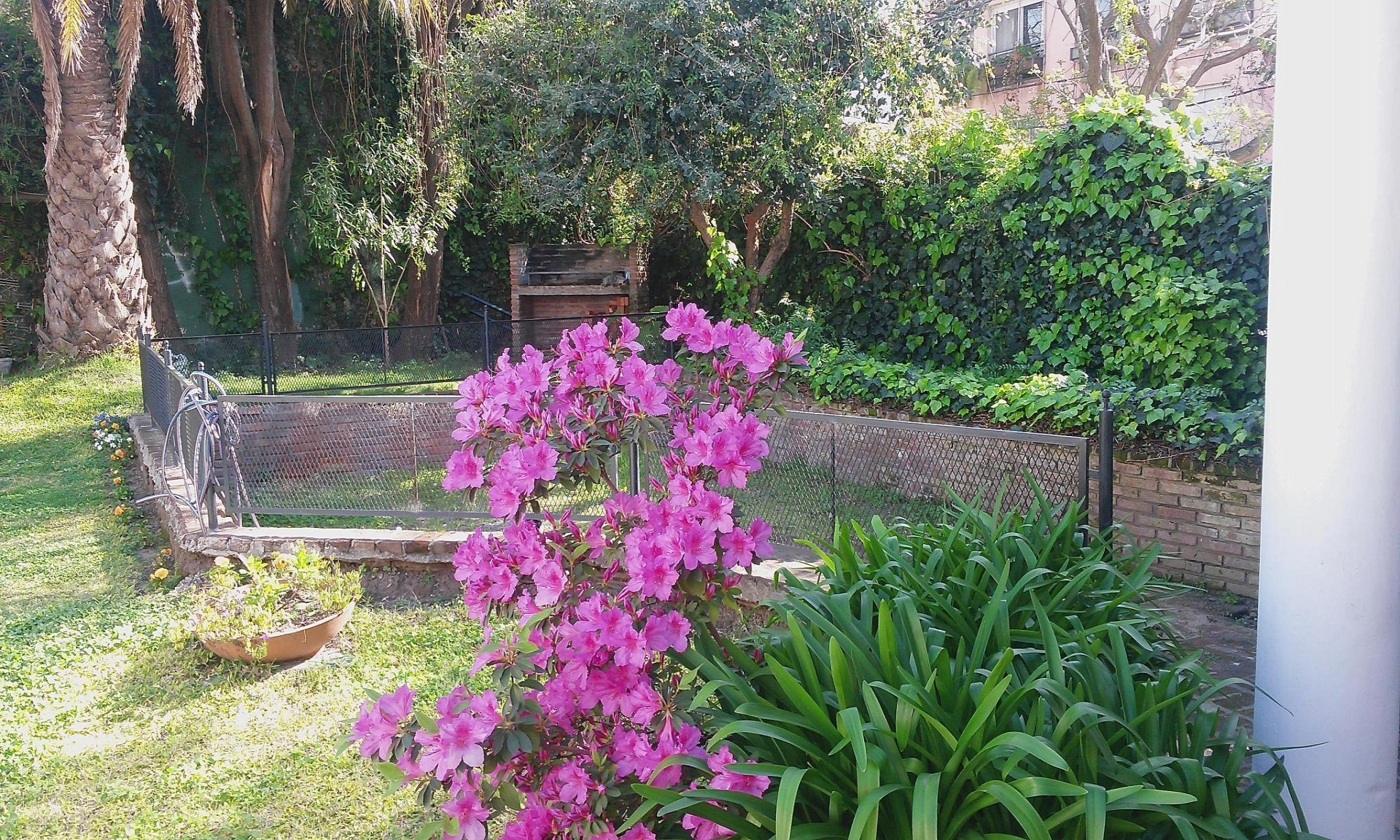 La Casa de Mamá  - Imagen 20