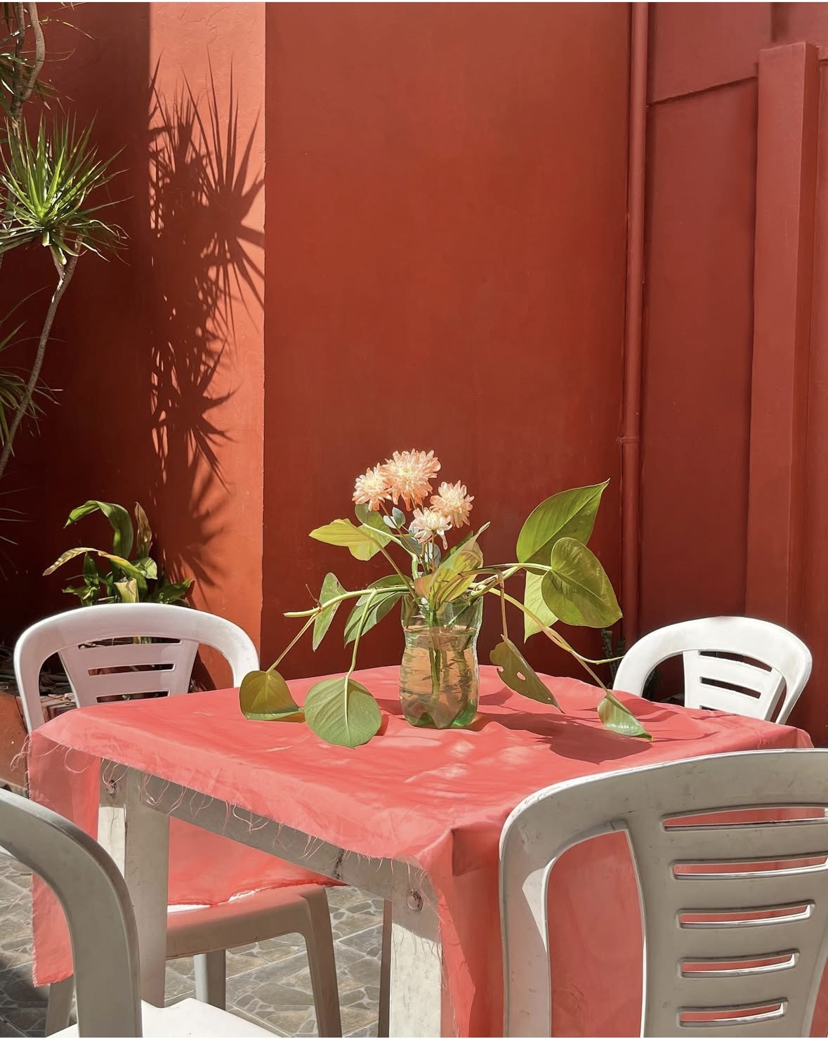 Residencia Amalia - Imagen 5