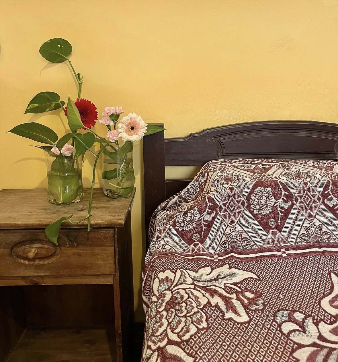 Residencia Amalia - Imagen 6